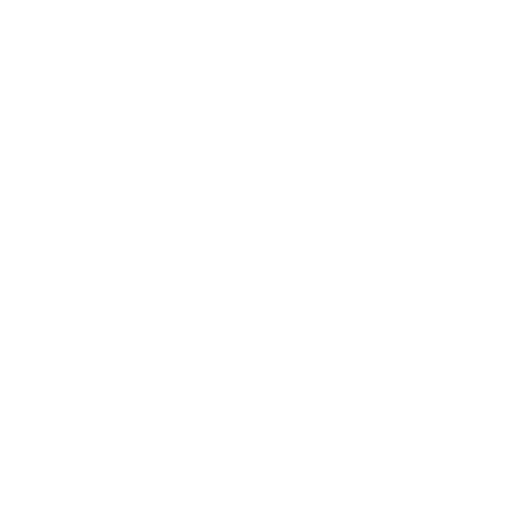 Mobile Repair Service